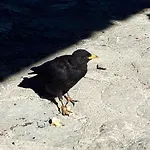 Διαμέρισμα Herbst Obing
