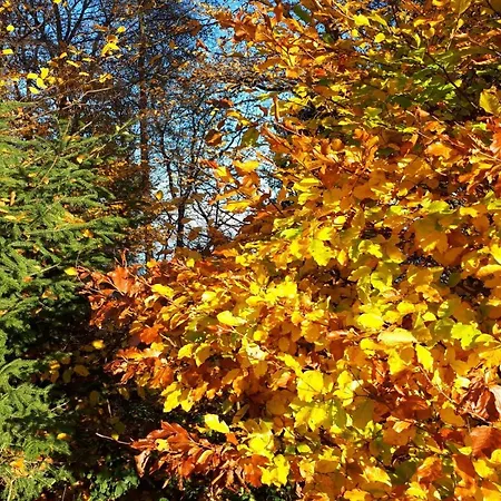 Apartment Herbst *
