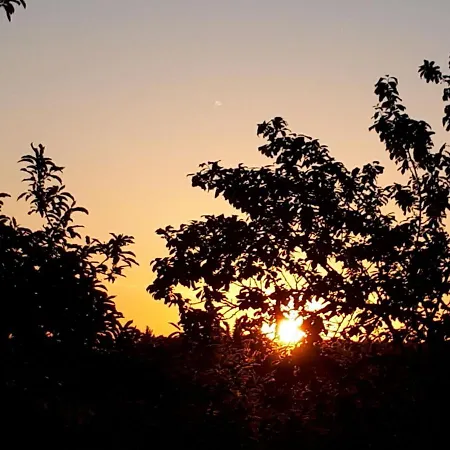 Herbst *