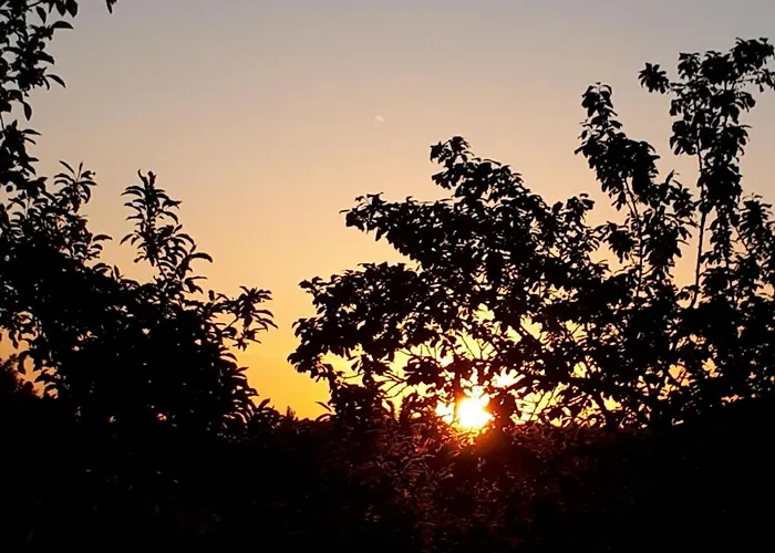 Herbst *